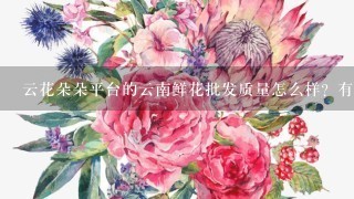 云花朵朵平台的云南鲜花批发质量怎么样？有没有人买过，求真实评价