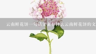 云南鲜花饼1句话文案有什么云南鲜花饼的文案