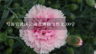 写游官渡区云南省博物馆作文500字