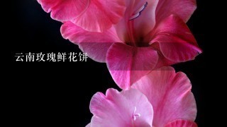 云南玫瑰鲜花饼