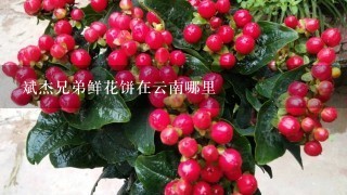 斌杰兄弟鲜花饼在云南哪里