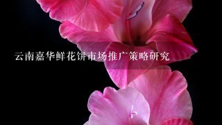 云南嘉华鲜花饼市场推广策略研究