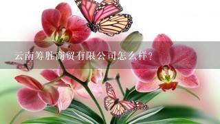 云南筹胜商贸有限公司怎么样？