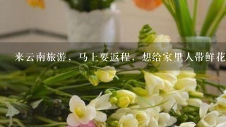 来云南旅游，马上要返程，想给家里人带鲜花饼，请问