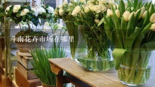 斗南花卉市场在哪里