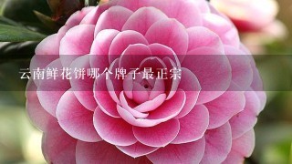 云南鲜花饼哪个牌子最正宗