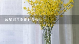 流星雨月季花有香味吗