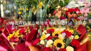 云南花卉批发市场地址有人知道吗？求推荐1个好的批