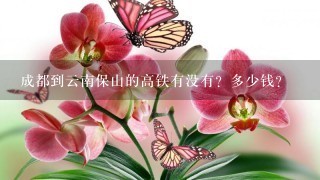 成都到云南保山的高铁有没有？多少钱？