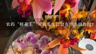 农药“鲜花王”对黄瓜生长会有什么副作用？