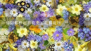 绵阳那些超市在卖云南鲜花饼