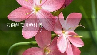 云南鲜花饼的材料