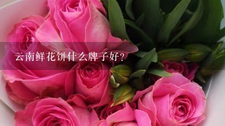 云南鲜花饼什么牌子好？