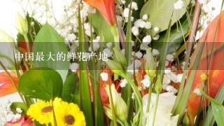 中国最大的鲜花产地