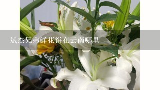 斌杰兄弟鲜花饼在云南哪里