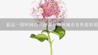 最近一段时间内云南省有哪些城市有售花的情况发生吗？