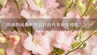 活动期间会有什么样的内容和安排呢？