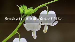 您知道如何正确食用云南鲜花月饼吗？