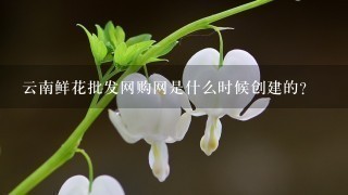 云南鲜花批发网购网是什么时候创建的？