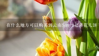 在什么地方可以购买到云南Sanya七彩花儿饼干？