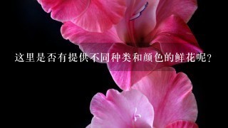 这里是否有提供不同种类和颜色的鲜花呢？