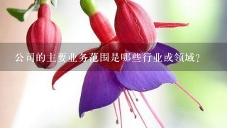 公司的主要业务范围是哪些行业或领域？