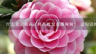 什么是云南丽江鲜花批发直播视频？