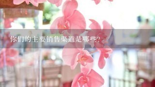 你们的主要销售渠道是哪些？