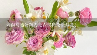 云南高速公路内是否提供免费鲜花？