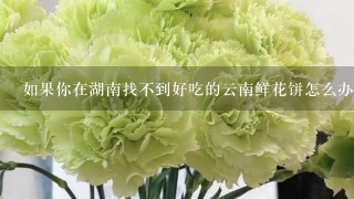 如果你在湖南找不到好吃的云南鲜花饼怎么办？