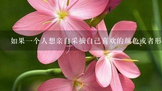 如果一个人想亲自采摘自己喜欢的颜色或者形状的花朵他们应该去哪里寻找它们？