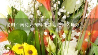 昆明斗南花九九鲜花基地是什么地方