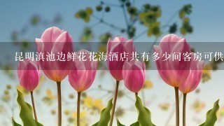 昆明滇池边鲜花花海酒店共有多少间客房可供选择