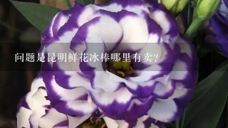 问题是昆明鲜花冰棒哪里有卖