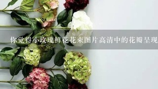 你觉得小玫瑰鲜花花束图片高清中的花瓣呈现出来的质感如何