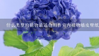 什么类型的植物最适合用作室内植物墙皮壁纸的背景材料