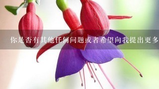 你是否有其他任何问题或者希望向我提出更多的问题