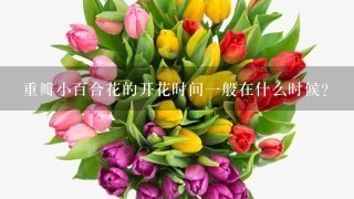 重瓣小百合花的开花时间一般在什么时候