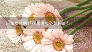 广东增城的鲜花速递服务如何进行