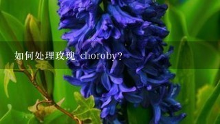 如何处理玫瑰 choroby?