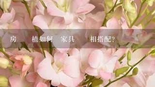 房間綠植如何與家具設計相搭配?