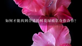 如何才能找到合适的鲜花绿植店合作合作?