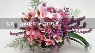 玫瑰百合的花瓣颜色有哪些?