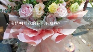 云南昆明鲜花的花色有哪些?