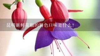 昆明新鲜花椒的特色口味是什么?