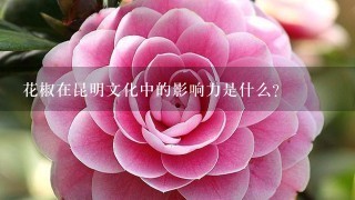 花椒在昆明文化中的影响力是什么?