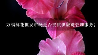 万福鲜花批发市场是否提供供应链管理服务?