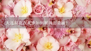 大连鲜花在夏季如何展现出美丽?