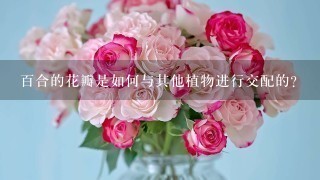 百合的花瓣是如何与其他植物进行交配的?