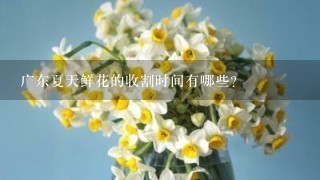 广东夏天鲜花的收割时间有哪些?